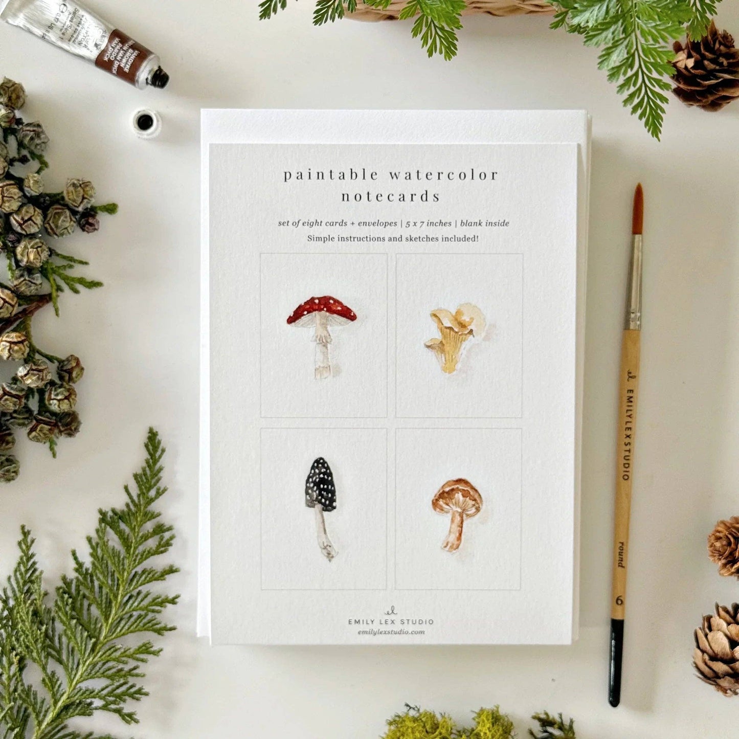 Emily Lex Studio - Mushrooms Paintable Watercolor Notecard Set