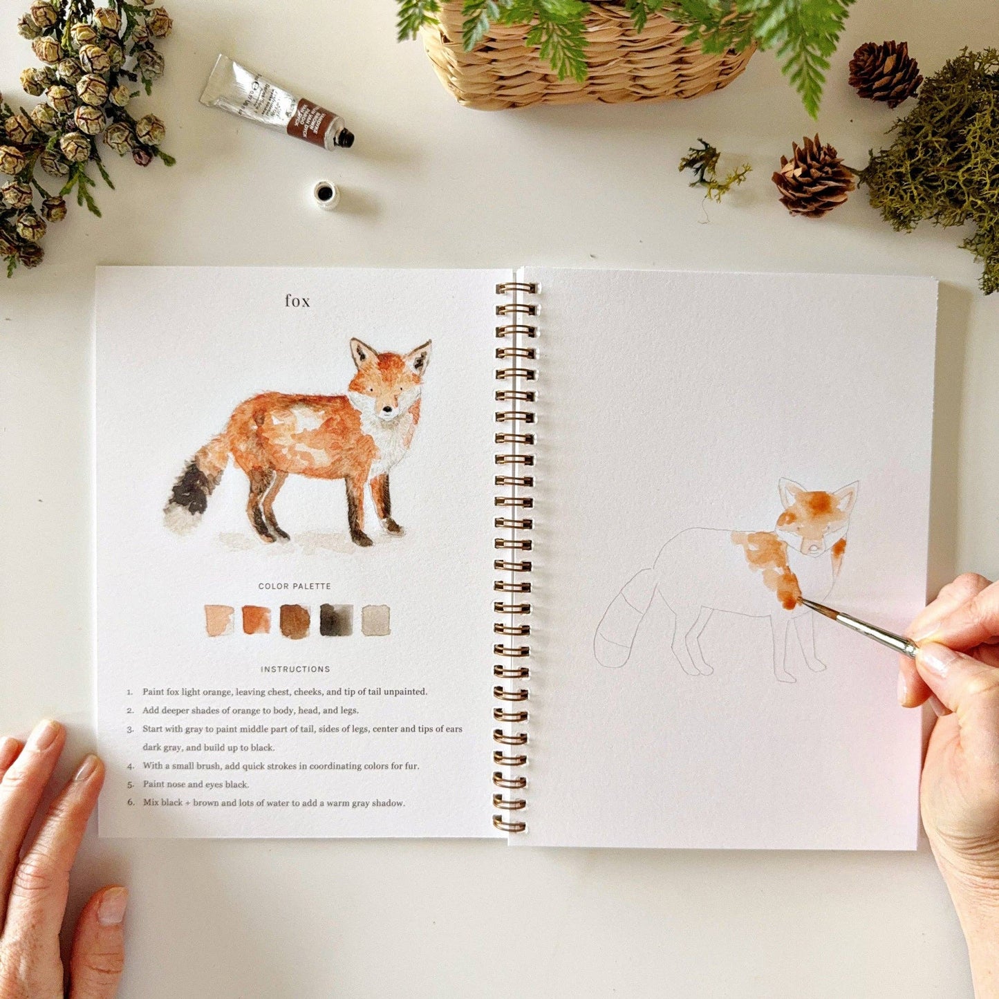 Emily Lex Studio - Watercolor Workbook Woodland