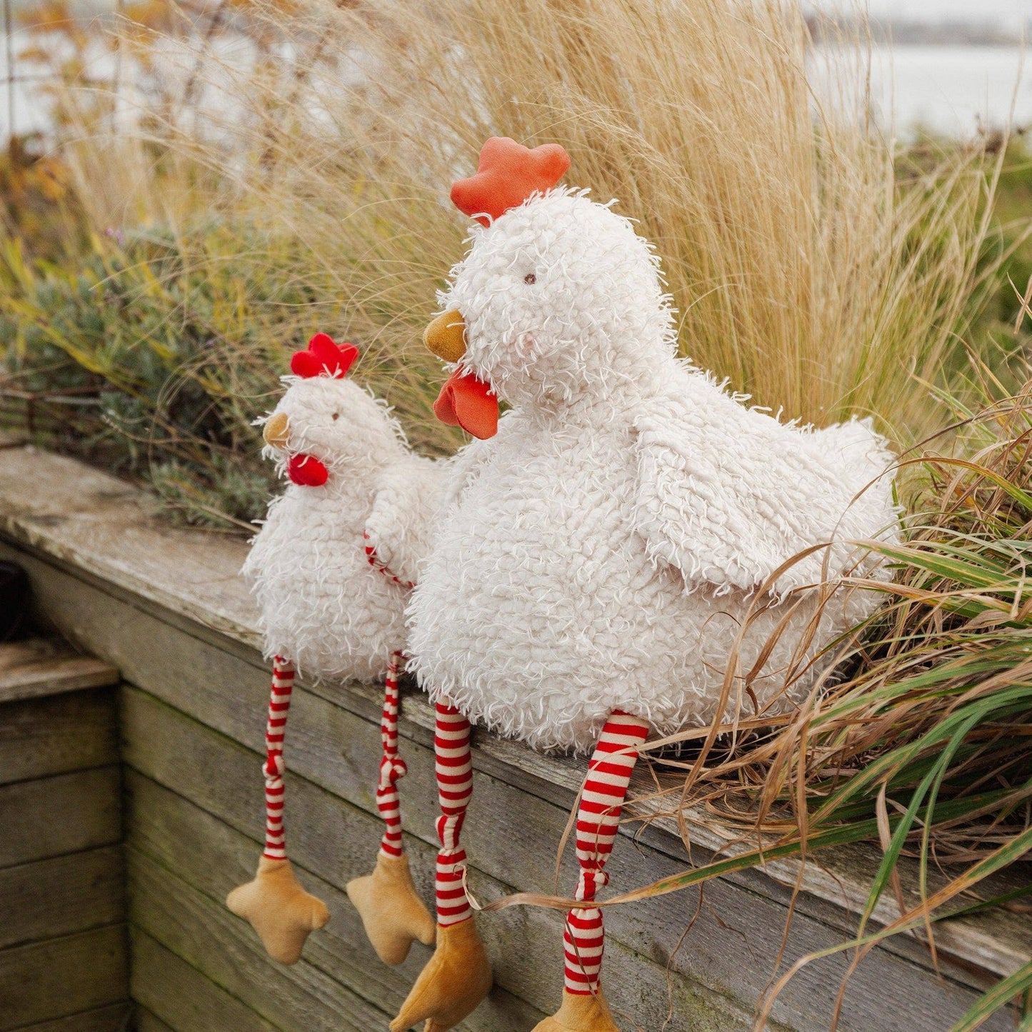 Bunnies By the Bay - Big Clucky the Chicken