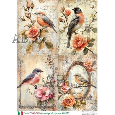 Ab Studios - Vintage Songbird and Rose Illustration