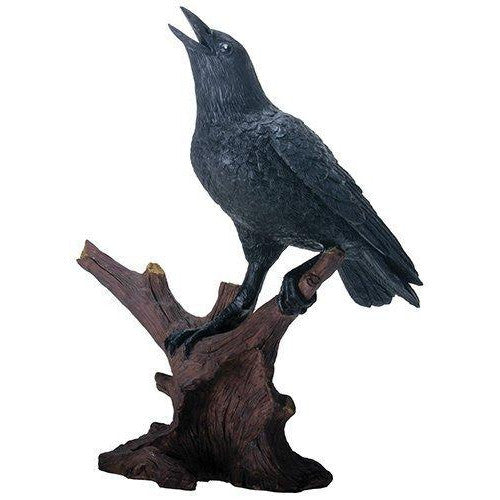 Raven Perched On Driftwood
