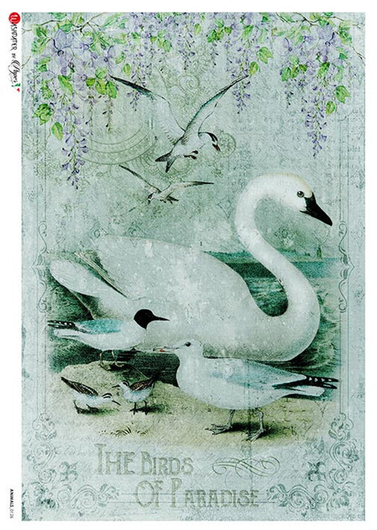 Paper Designs - Swan of Paradise A4 & A2