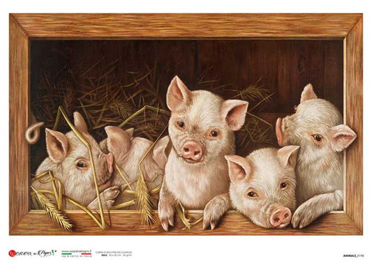 Paper Designs A4 Piglets