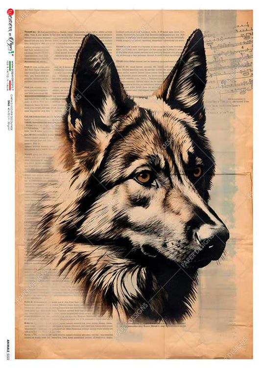 Paper Designs : Dog Sketch on Encyclopedia