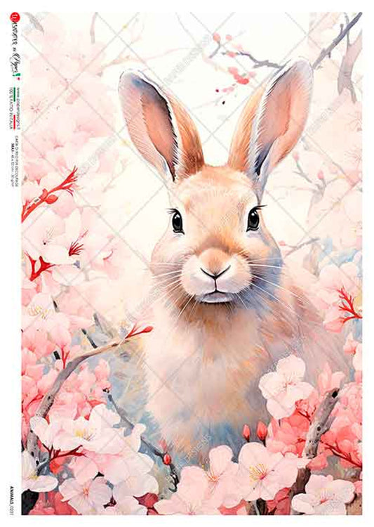 Paper Designs : Pink Floral Bunny Rabbit
