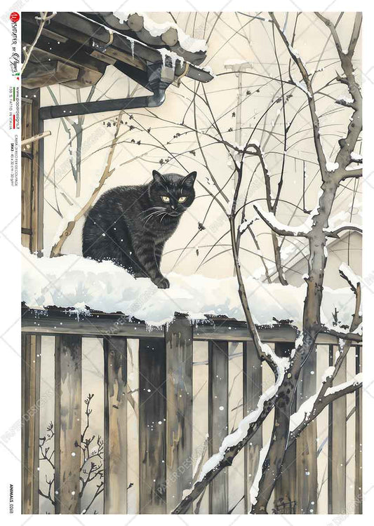 Paper Designs - Cat on a Ledge In the Snow A4 Rice Paper