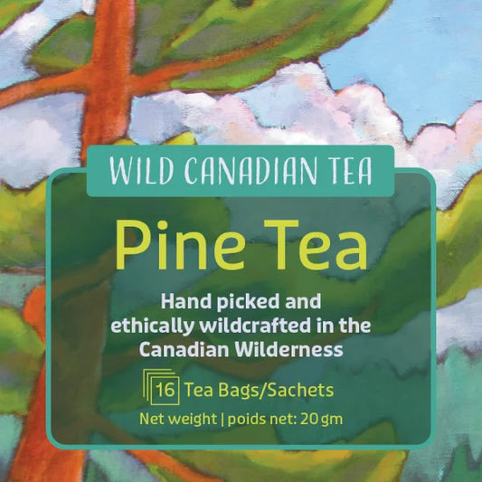 Algonquin Tea Company : Wild Canadian Tea White Pine Tea Bagged Tea