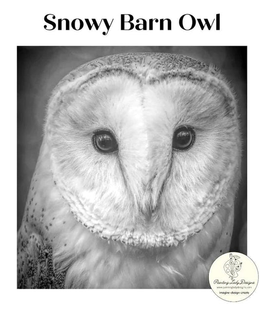 Painting Lady Designs : Snowy Barn Owl Decoupage 24x21"