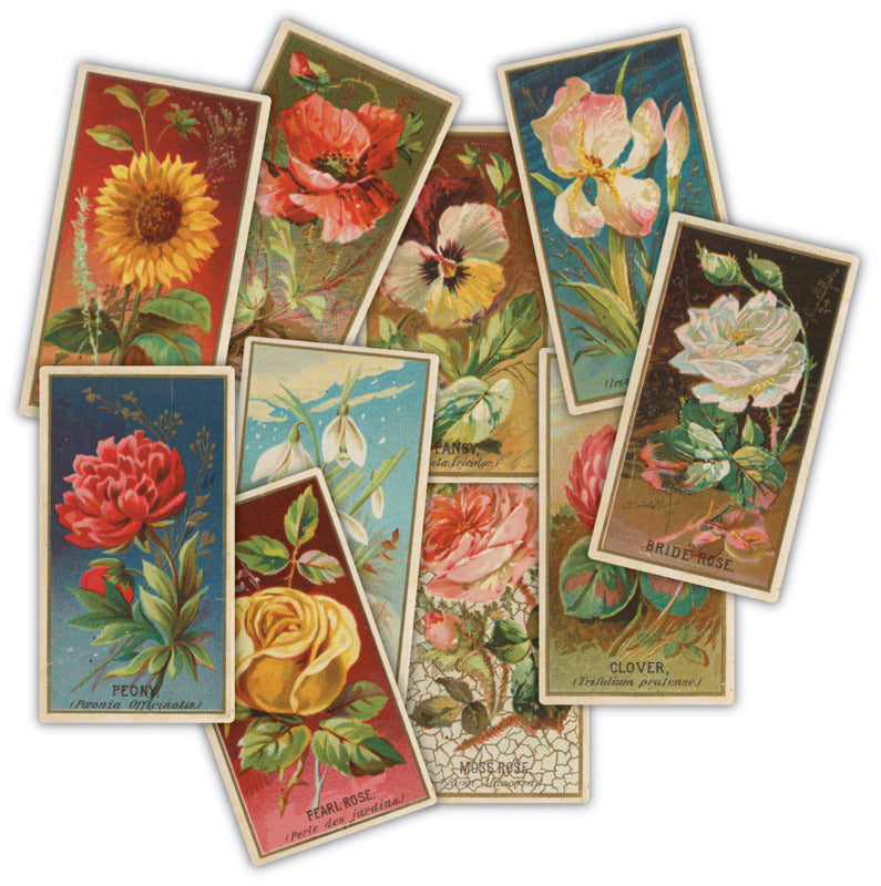 Craft Consortium - The Collector Ephemera Flowers