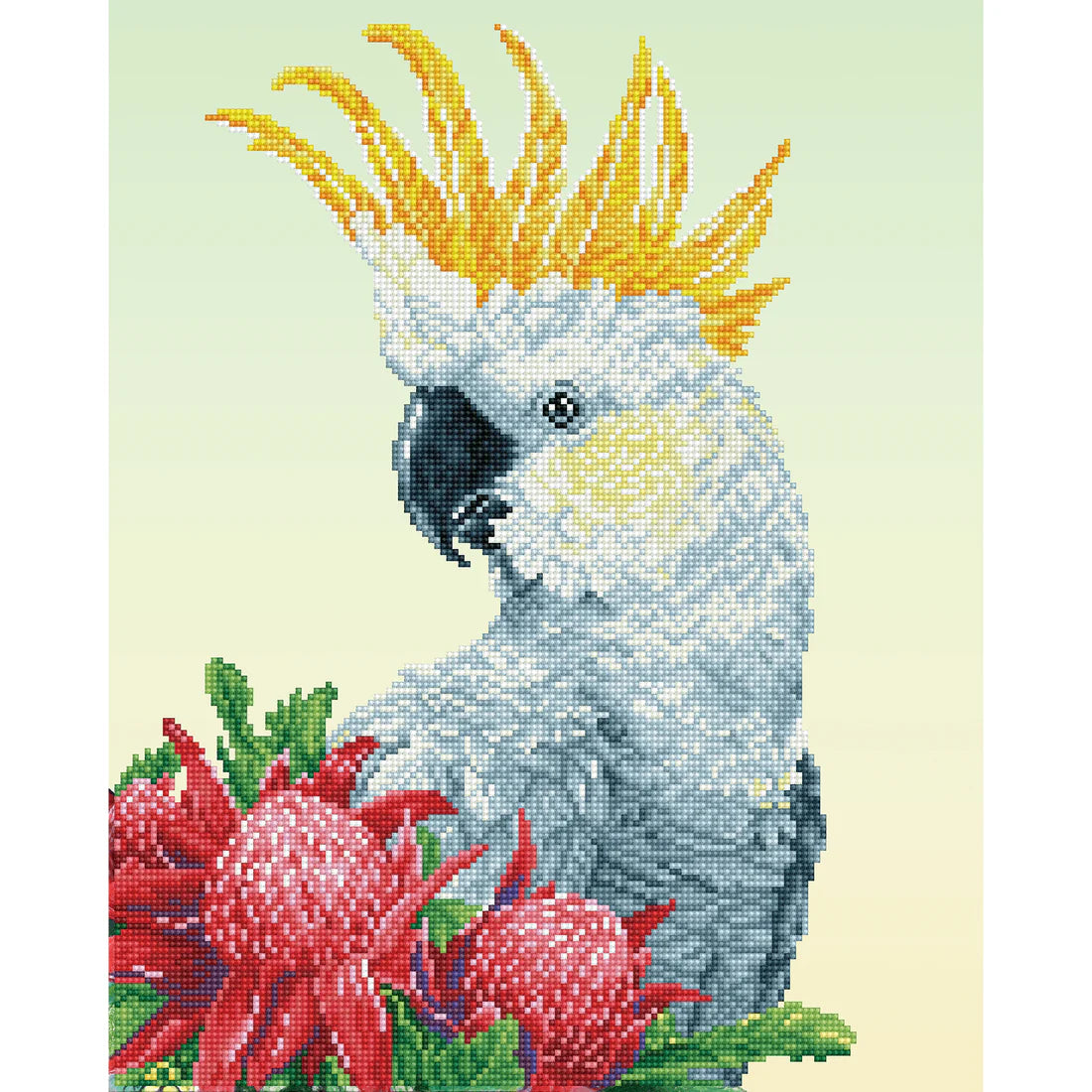 Diamond Dotz - White Cockatoo & Waratahs