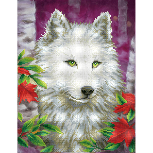 Diamond Dotz - White Wolf