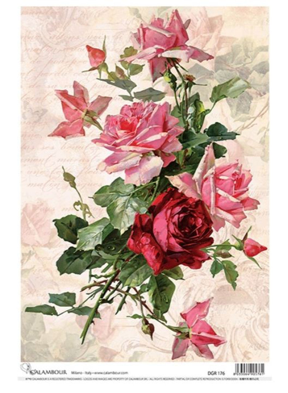 Calambuor : Catherine Klein Pink Swag Roses