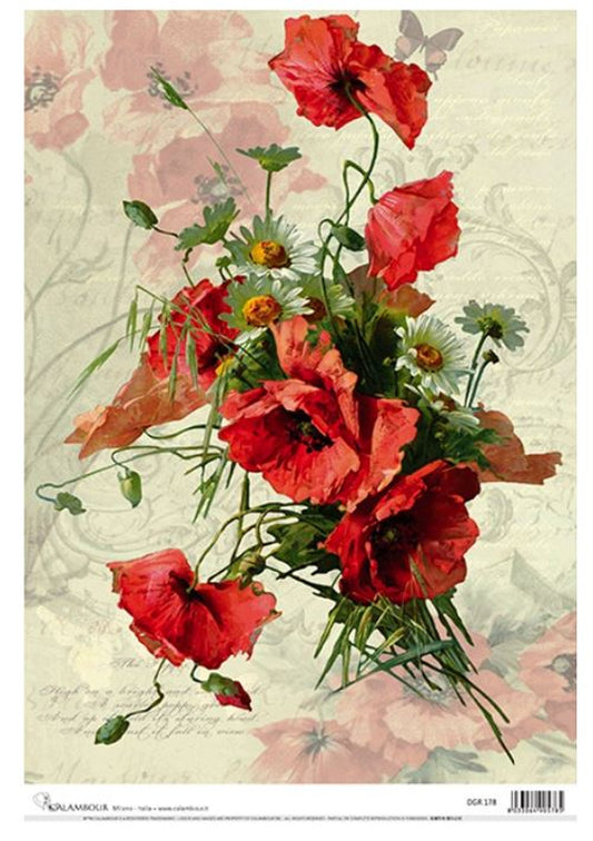 Calambour - Delicate Poppies A3