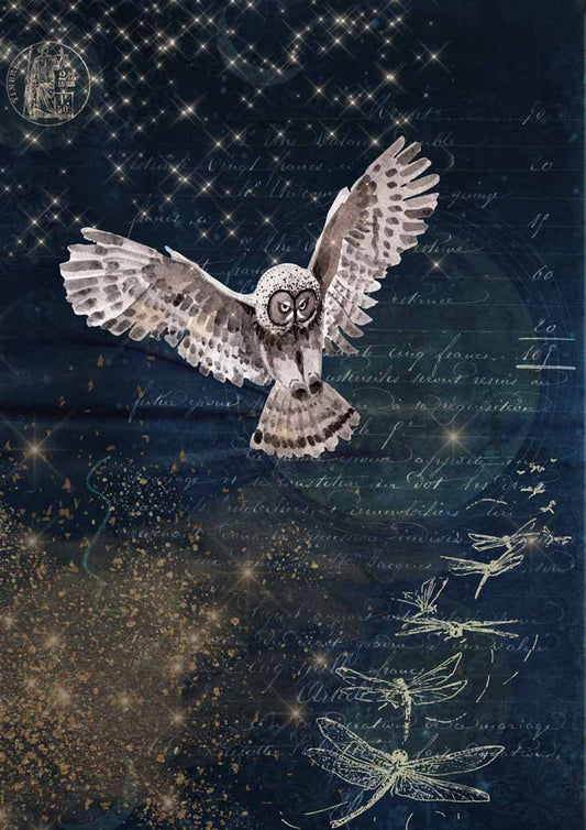 Decoupage Queen A4 Karin's Night Owl