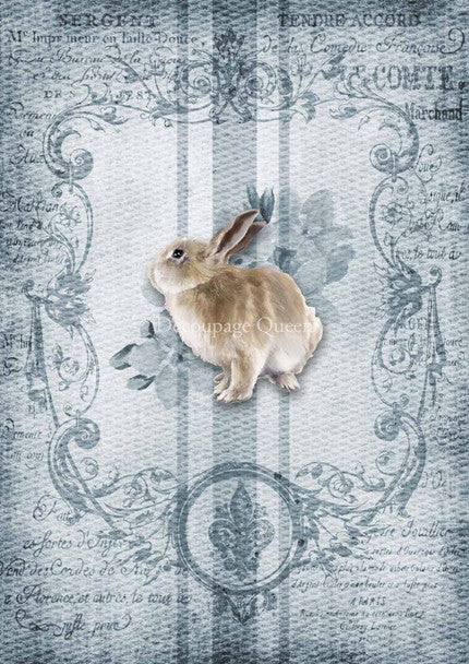 Decoupage Queen - Spring Grain Sack Bunny A4 Rice Paper