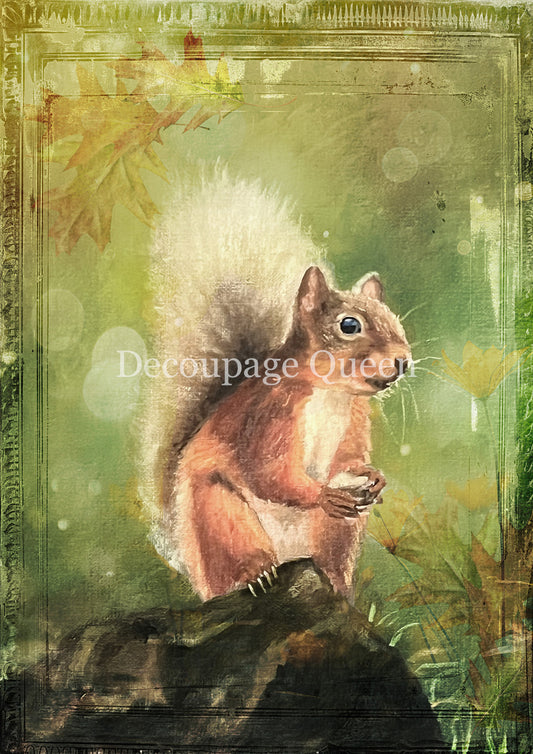 Decoupage Queen - Teresa Rene Art Woodland Squirrel Rice Paper A4, A3