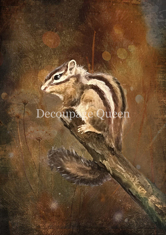 Decoupage Queen - Teresa Rene Art Resting Chipmunk Rice Paper A4, A3
