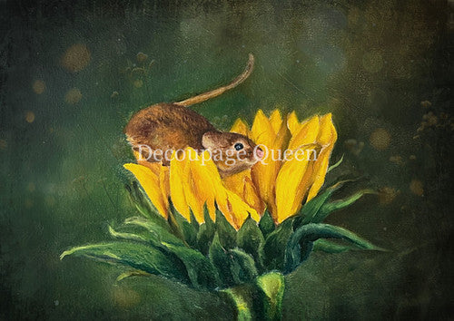 Decoupage Queen - Teresa Rene Art Curious Mouse Rice Paper A4, A3