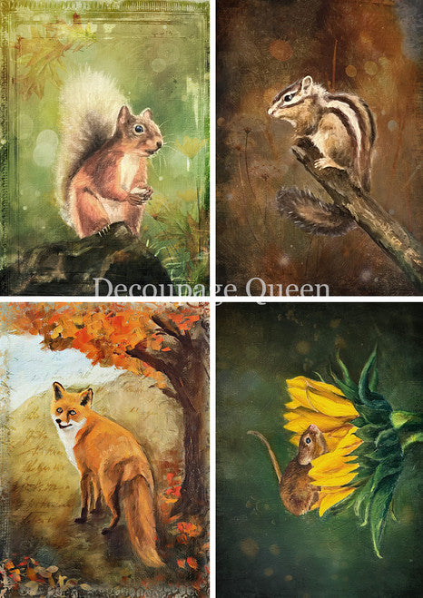 Decoupage Queen - Teresa Rene Art - Woodland Creatures Four Pack Rice Paper A4, A3