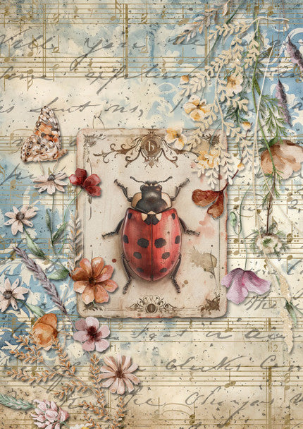 Decoupage Queen - Iveta Ziedina, Ladybird A4 & A3 Rice Paper