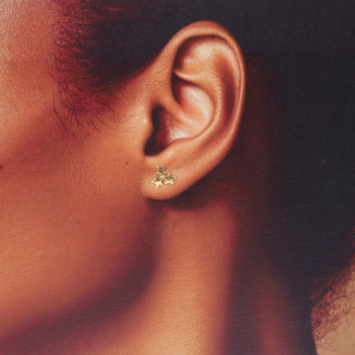 Flower Are The Stars of the Earth Earring Gold