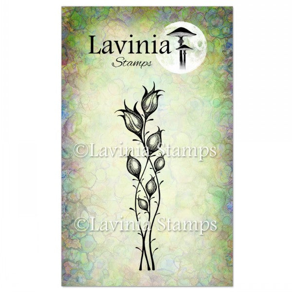 Lavinia Stamp - Star Blossom