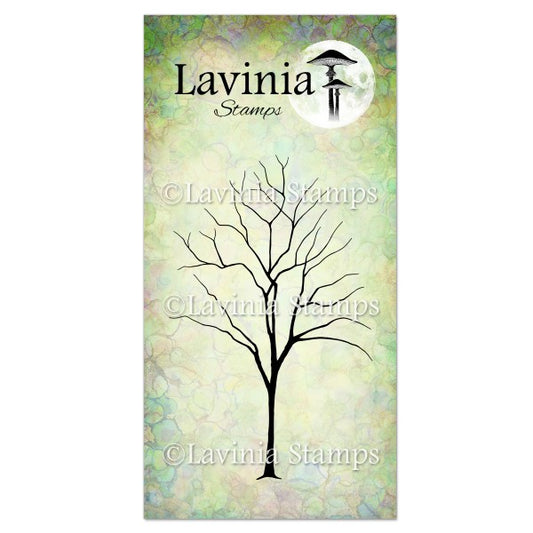 Lavinia Stamp Elm