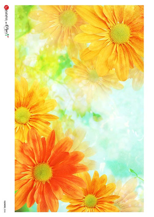 Decoiupage Paper Flowers 0046 A4