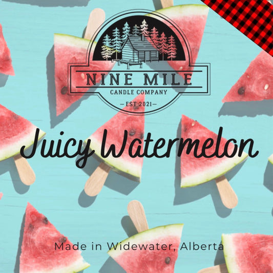 Nine Mile Juciey Watermelon Wax Melts