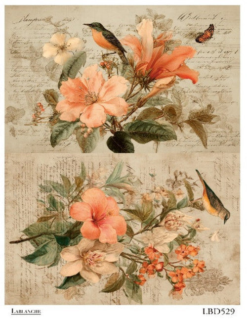 Lablanche - Hummingbird Garden A4 Rice Paper