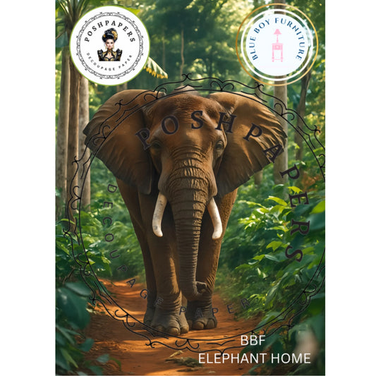 Posh Papers - Elephant Home 36x53 cm, 50x76cm