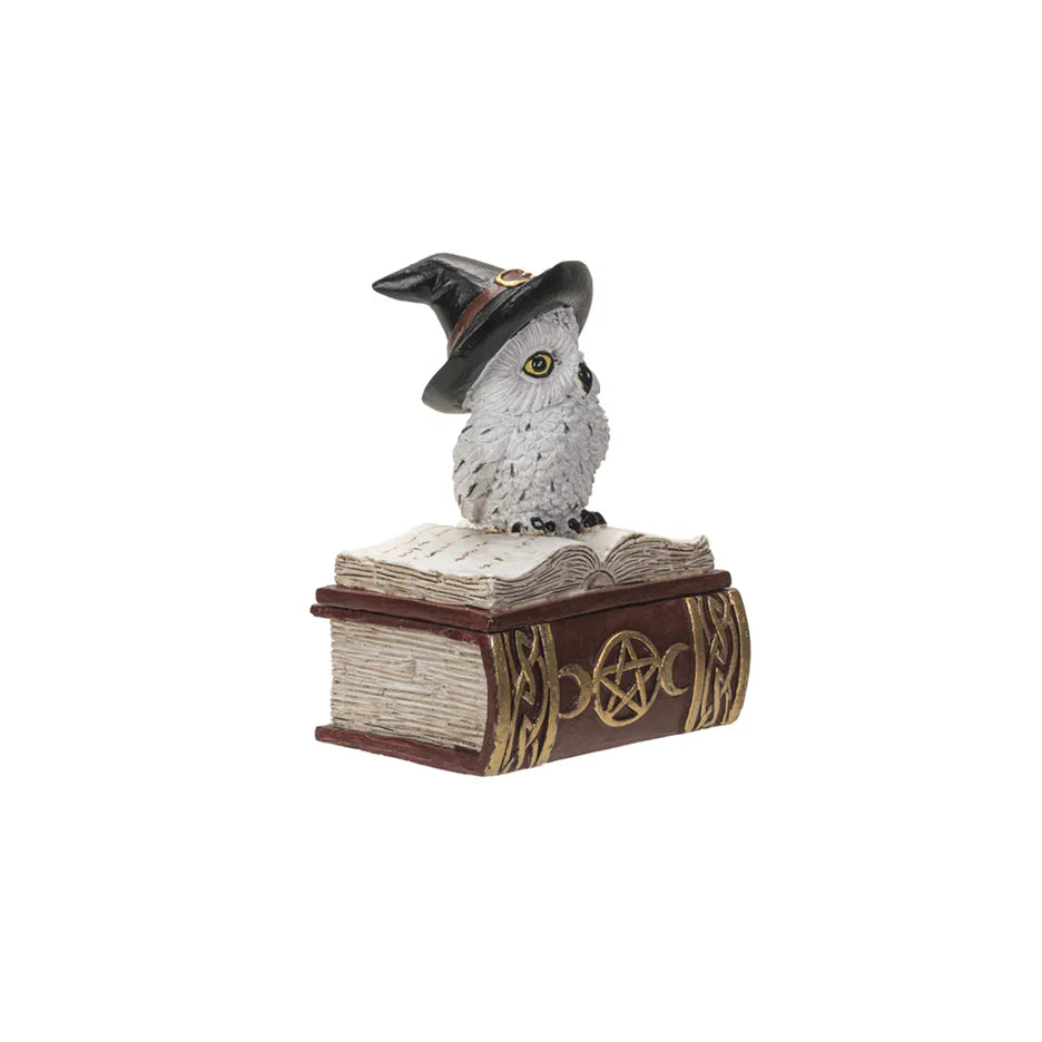 Spell Book Owl Statue