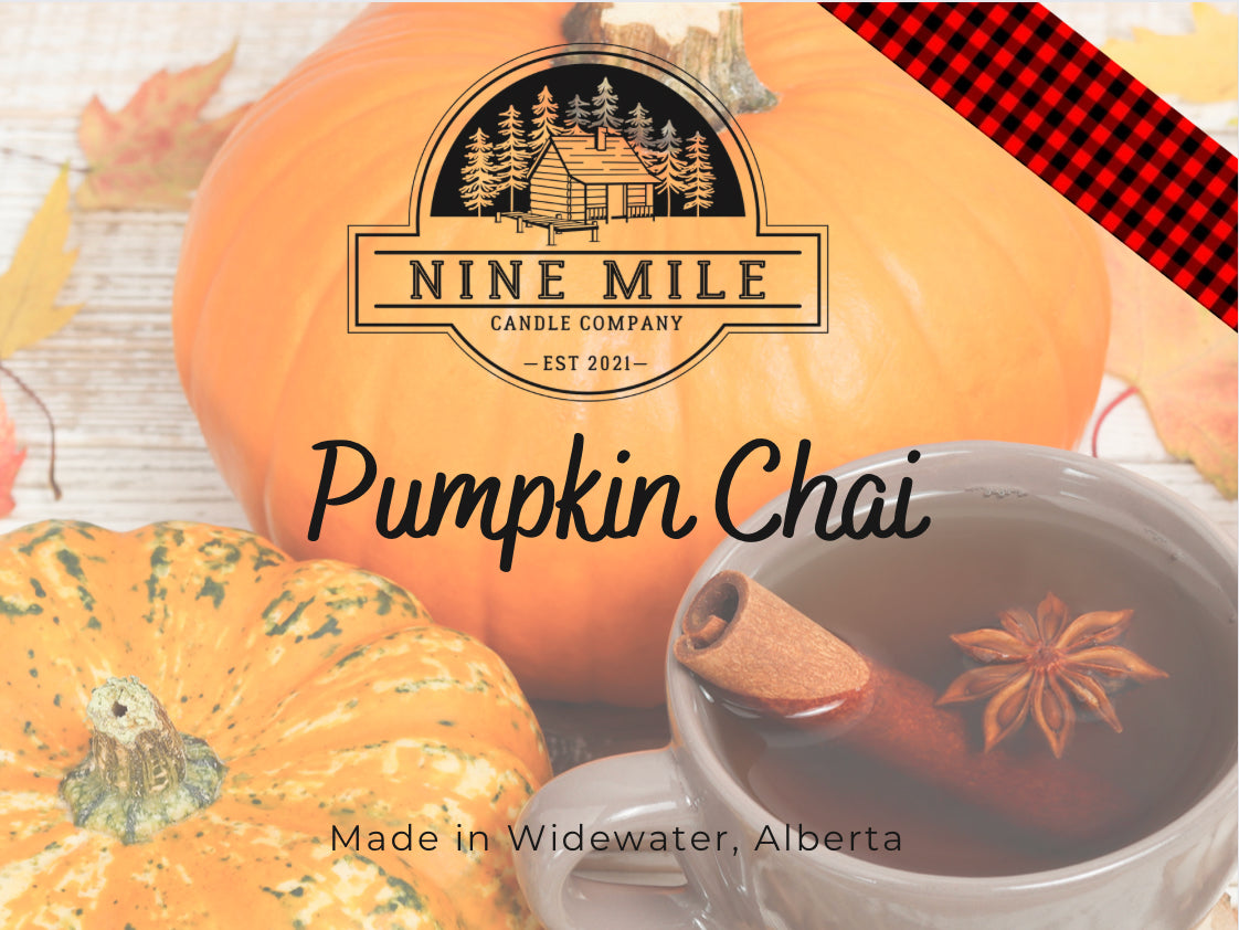 Nine Mile Pumpkin Chia Wax Melts