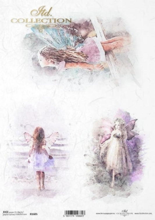 ITD Collection Wings of Exploration A4