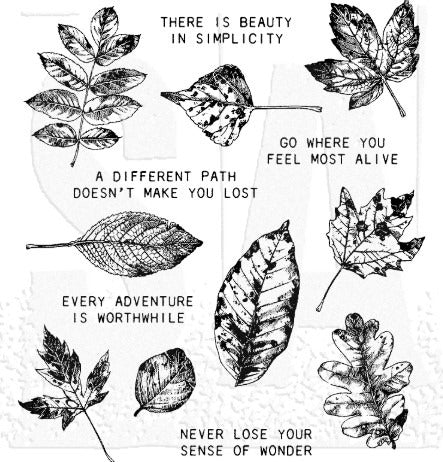 Stampers Anonymous Cling Stamp Natures Wonder
