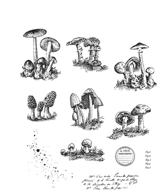 Stampers Anonymous - Tim Holtz : Cling Mounted Rubber Stamps ~ Tiny Toadstools