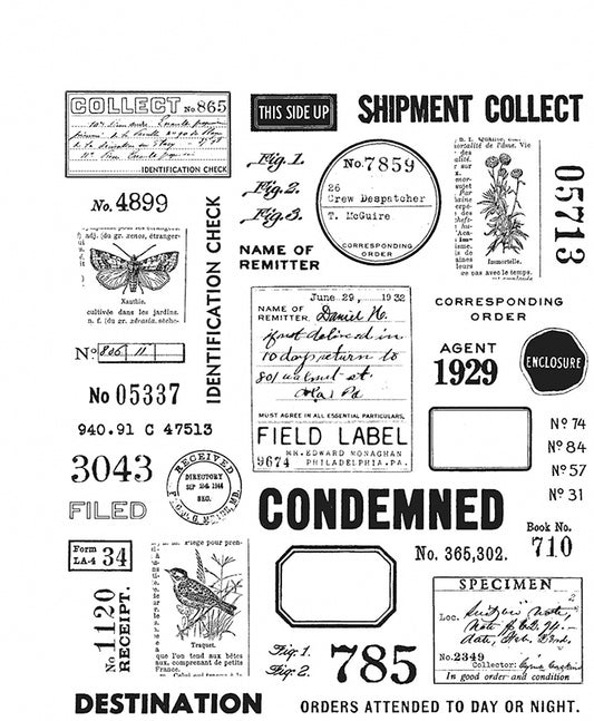 Stampers Anonymous - Tim Holtz - Cling Mounted Rubber Stamp Set - Field Notes