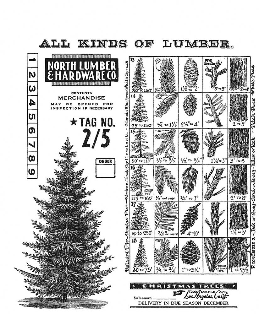 Stampers Anonymous - Tim Holtz : Cling Mounted Rubber Stamps ~ Winter Woodlands