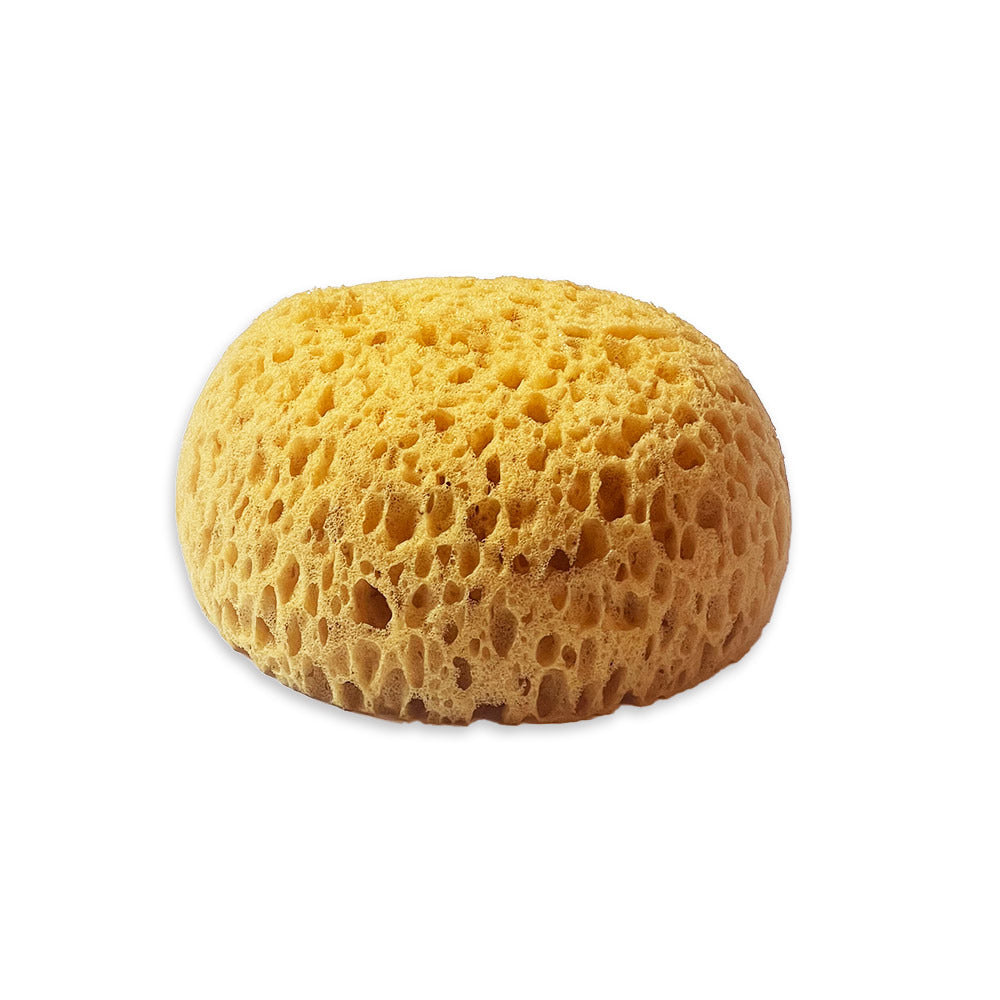 Stamperia Sponge Paint Sponge Art Stories