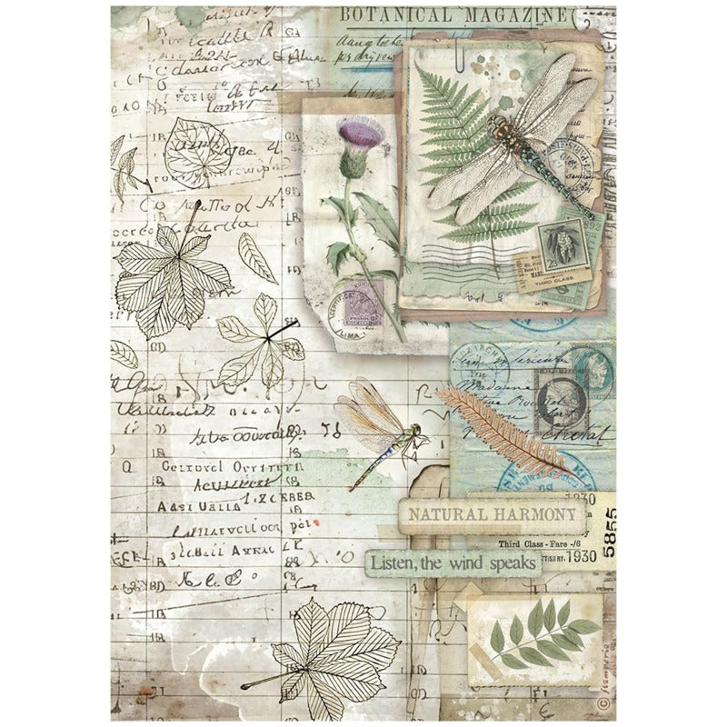 Stamperia Rice Paper Selection Herbarium Silvae 6 Piece