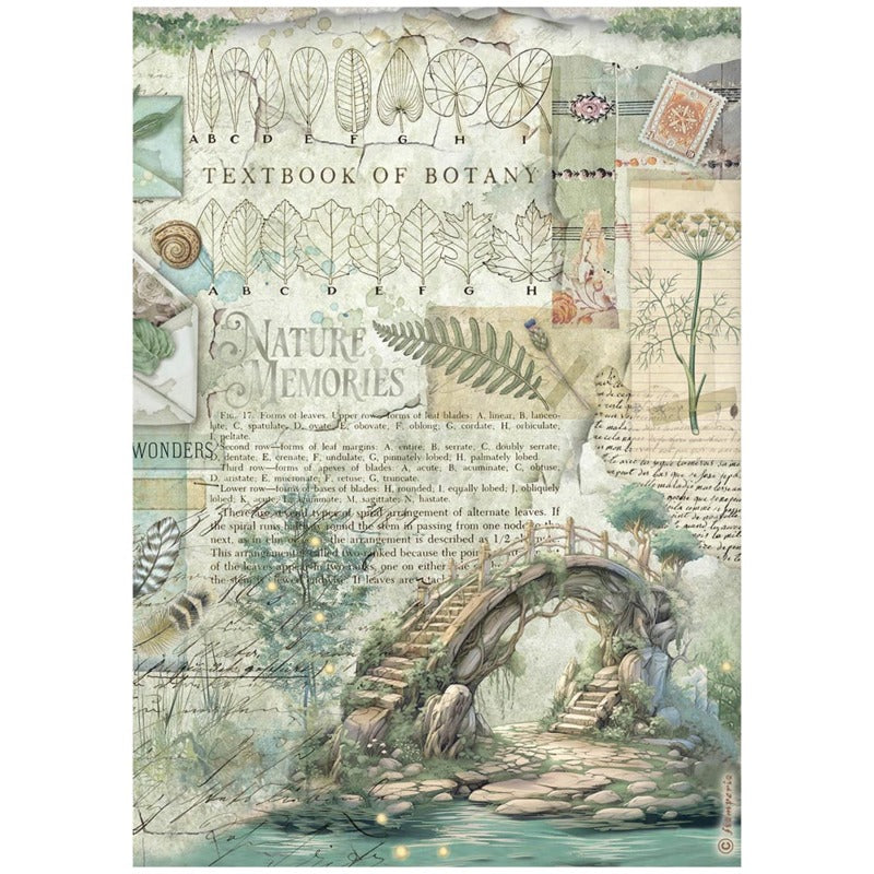 Stamperia Rice Paper Selection Herbarium Silvae 6 Piece