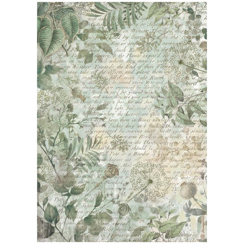 Stamperia Rice Paper Selection Herbarium Silvae 6 Piece