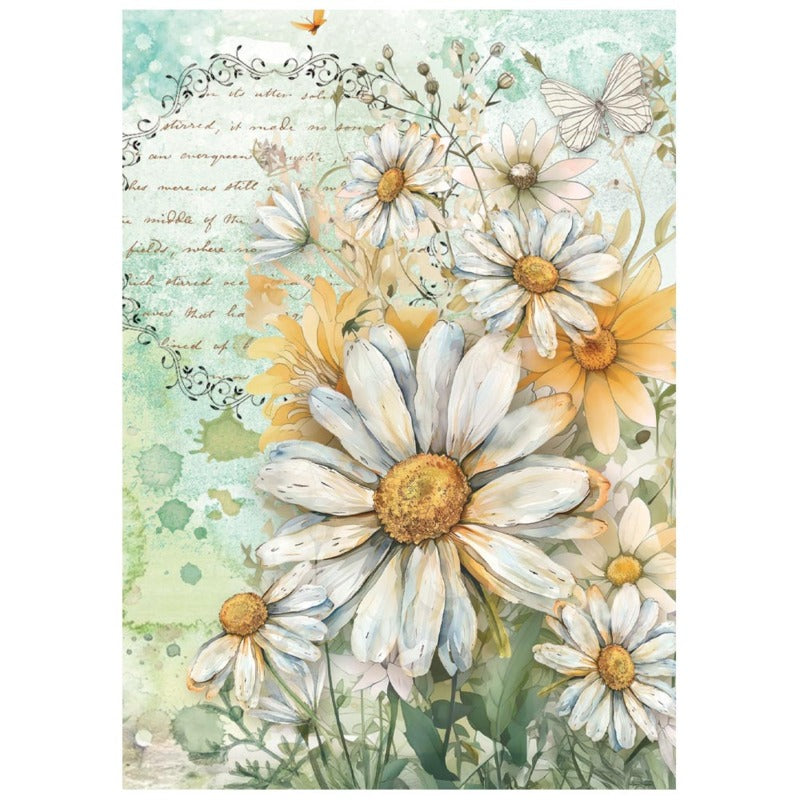 Stamperia - A6 Mini Rice Paper - Daisy Art
