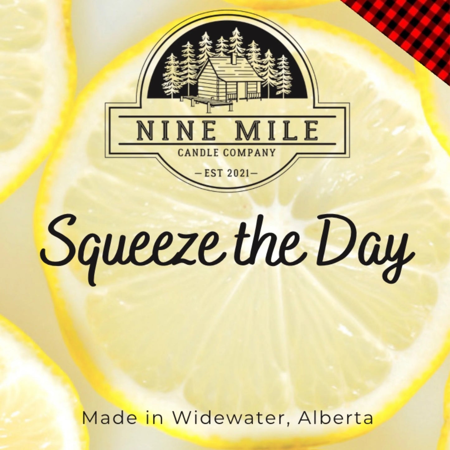 Nine Mile Squeeze The Day Wax Melt