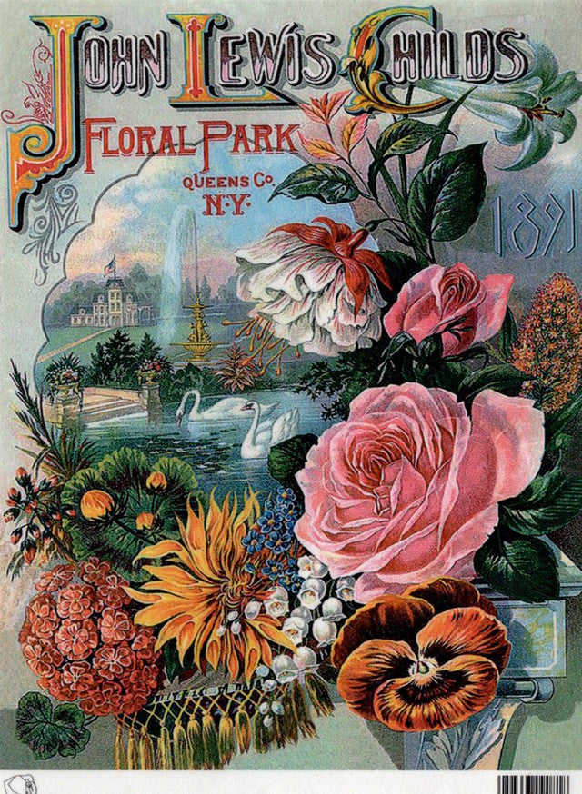 Calambour : John Lewis Childs 1891 Floral Park Catalog