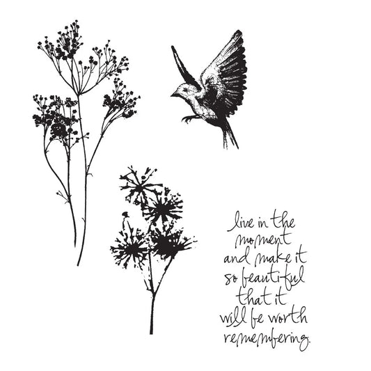 Stampers Anonymous Nature's Moments