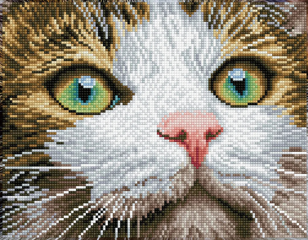 Diamond Dotz - Green Eyed Beauty