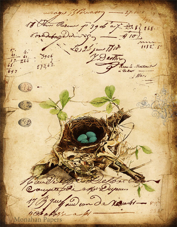 Monahan Papers - Birds, Nests & Florals Papers 11x17"