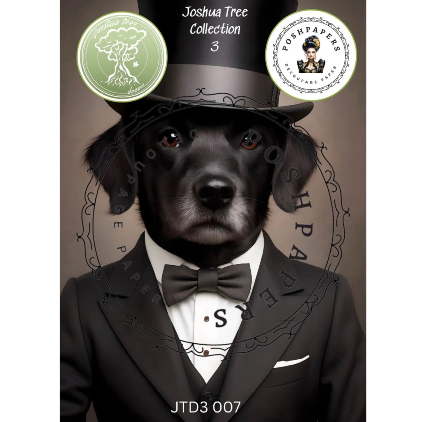 Posh Paper - JTD3 007 50x76 cm