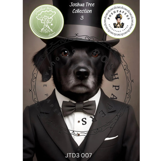 Posh Paper - JTD3 007 50x76 cm